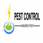 Pest Control Kangaroo Point Profile Picture