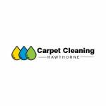 Carpet Cleaning Hawthorne Profile Picture