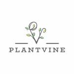 Plantivine Profile Picture