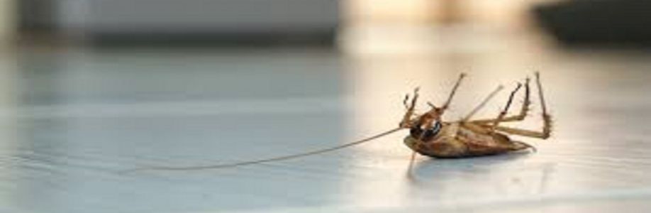 Pest Control Romsey Cover Image