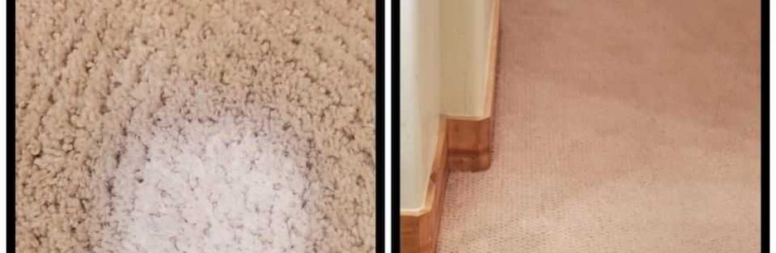 City Carpet Cleaning Canberra Cover Image