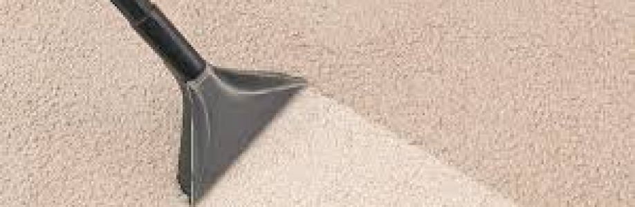 Carpet Cleaning West End Cover Image