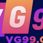 vg99 org Profile Picture