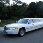 Moonlite Limo Service Profile Picture