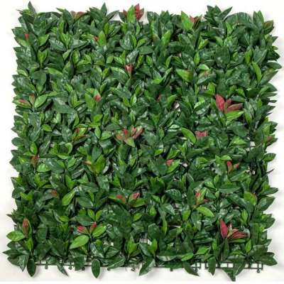 Cover Up Those Boring Walls And Fences In Artificial Green Wall Panels Profile Picture