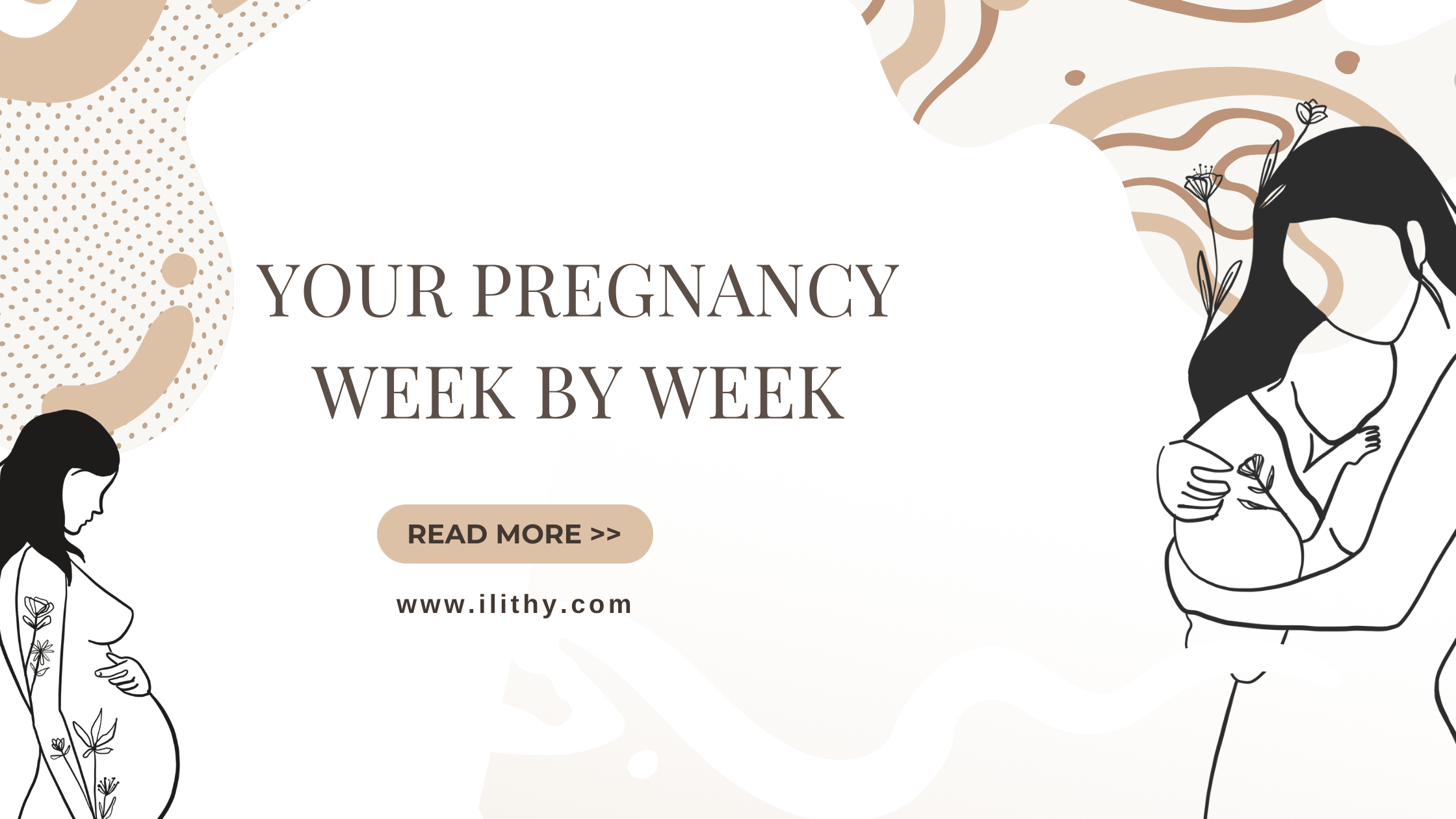 Pregnancy week by week: All essential information to know – Ilithy