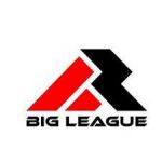 Big League Shirts profile picture