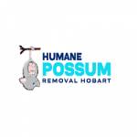 Humane Possum Removal Hobart Profile Picture