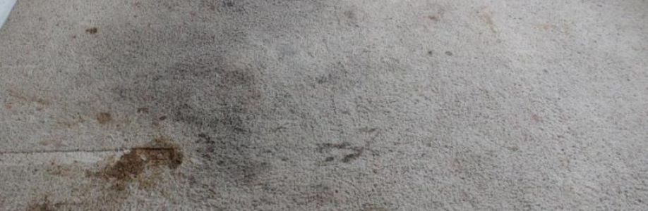 Bt Carpet Cleaning Sydney Cover Image