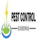 Pest Control Gisborne Profile Picture