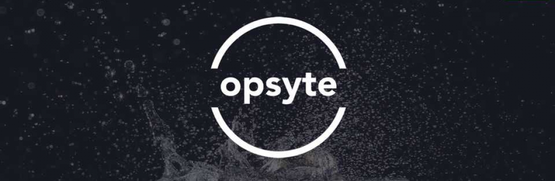 Opsyte Online Ltd Cover Image