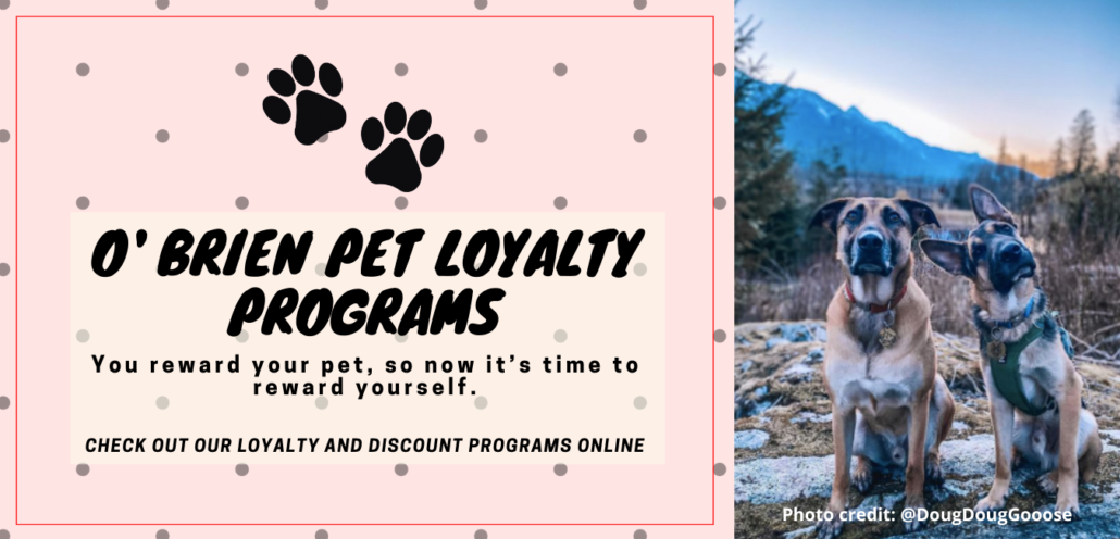 Local Loyalty Program | Frequent Buyer | Best Discounts Dog Food Squamish - O'Brien Pet Food Store