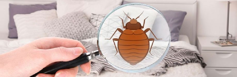 Exit Bed Bugs Control Adelaide Cover Image