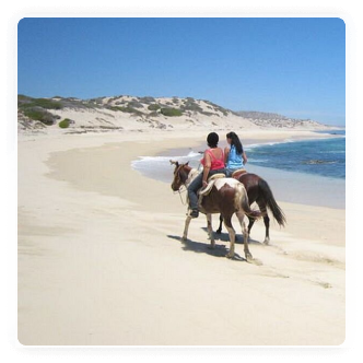 Horseback Riding - Villa del Faro