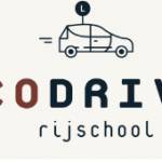 Co Drive Profile Picture