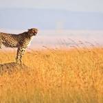Foot Slopes Tours and Safaris