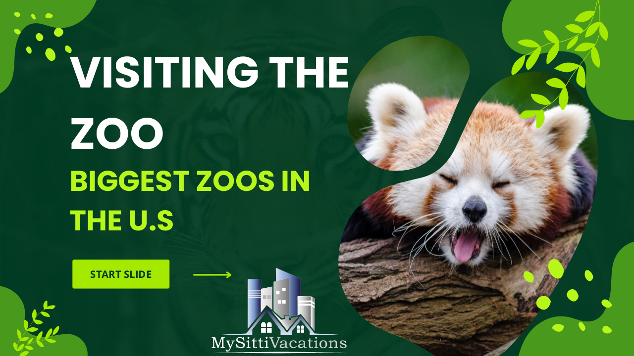 Visiting the Zoo – Biggest Zoos in the World | edocr