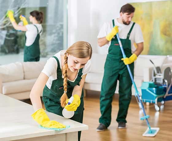 Office Areas Where Professional Cleaning Services Are Required – Wikiful