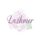 Lashmer Nail & Eyelash Supplier Profile Picture