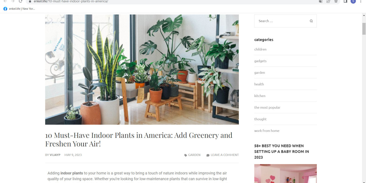 best indoor plants in america in 2023