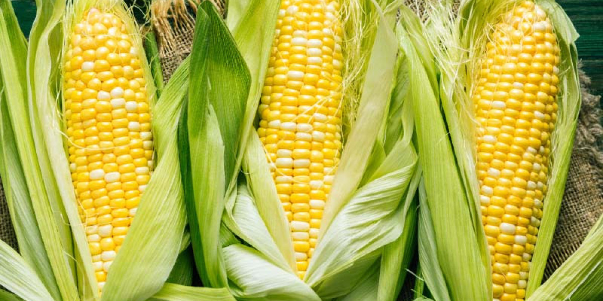 Why Consume Sweet Corn Frequently?
