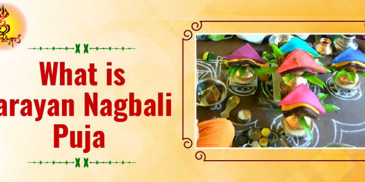 Discover the Significance of Narayan Bali Puja and the Factors Influencing Narayan Bali Puja Cost