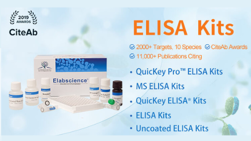 Everything You Need to Know About ELISA Blood Test – Universal Biotechnology – Antibodies, ELISA Kits Products & Services