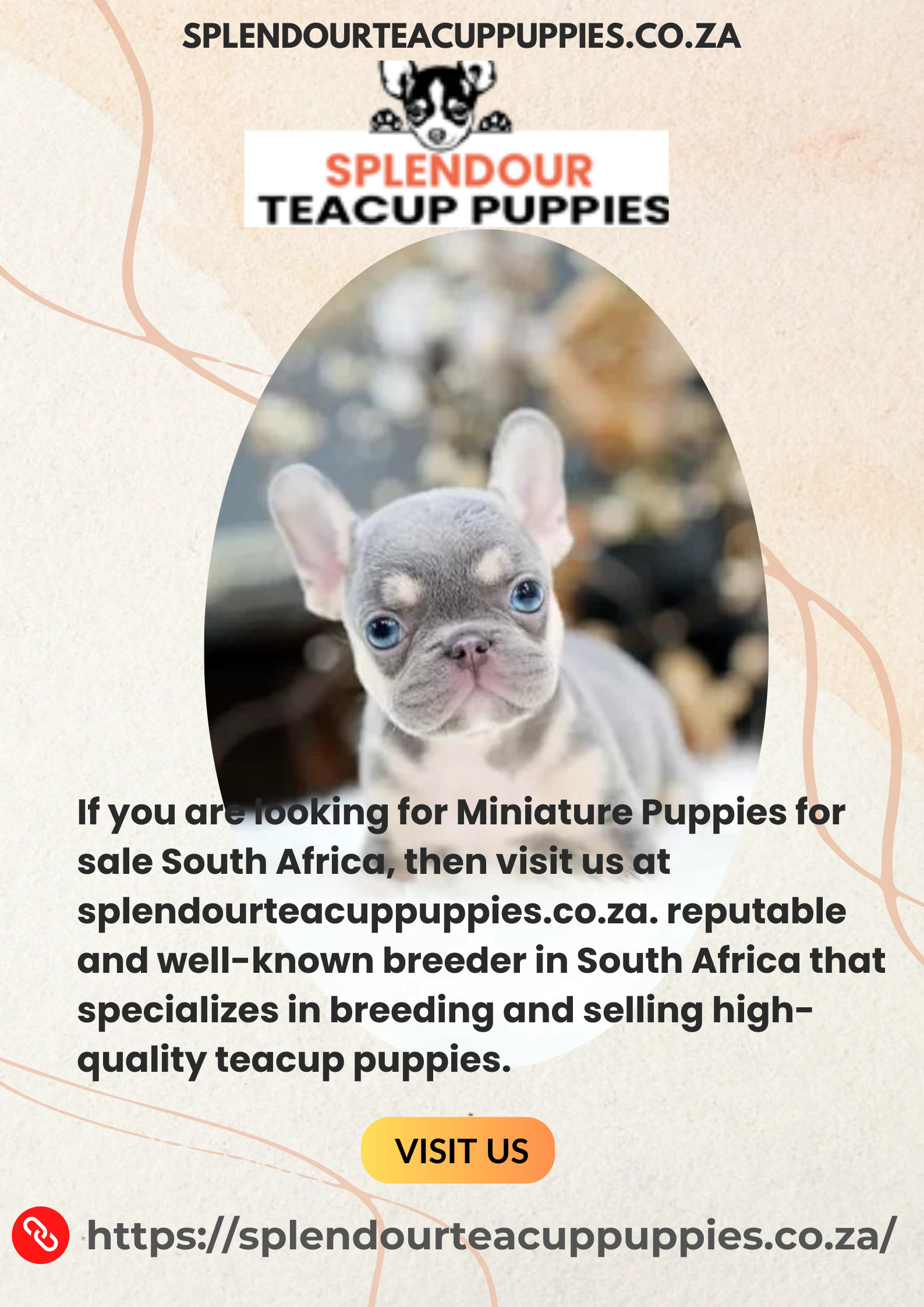 Buy Teacup Yorkie Puppies For Sale