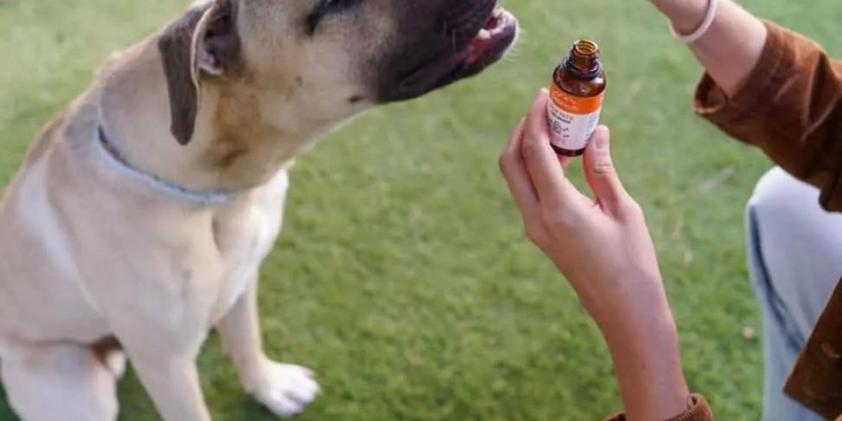 How Can CBD Oil Benefit Dogs in Canada?