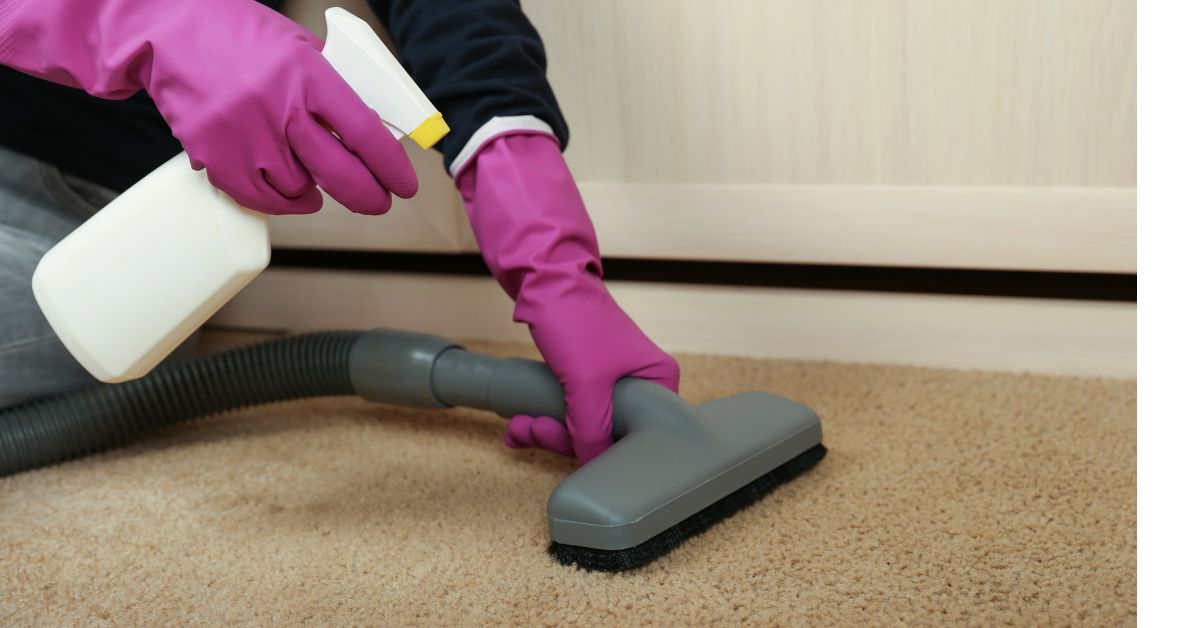 Keep Your Carpet Looking New After a Professional Cleaning
