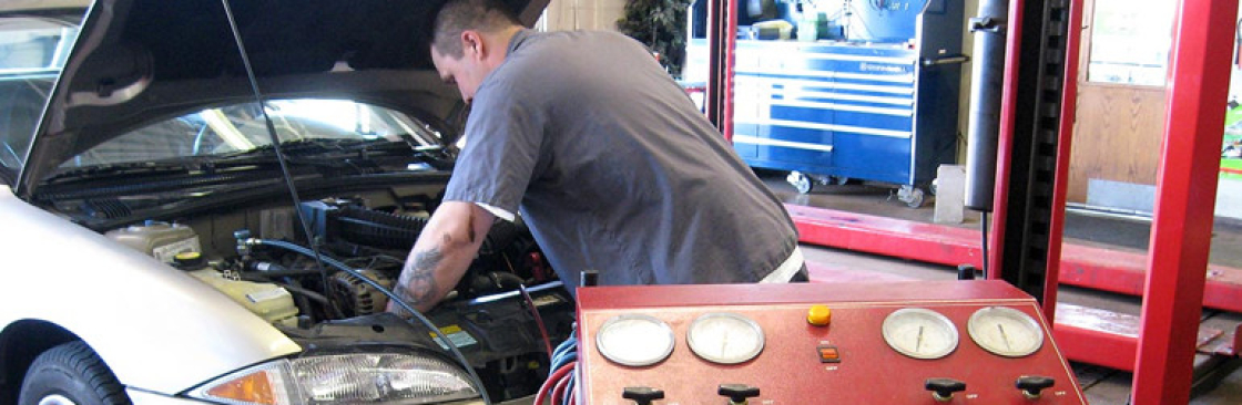 Burton and Scerra Motor Repairs Cover Image