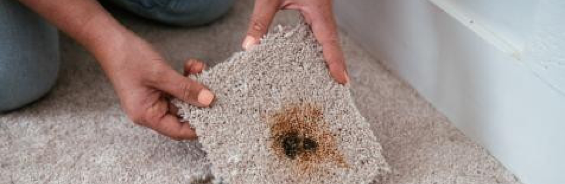 CBD Carpet Repair Perth Cover Image