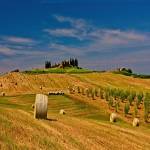 Central Alberta Hay Sales Ltd. Profile Picture