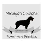 Michigan Spinone Profile Picture