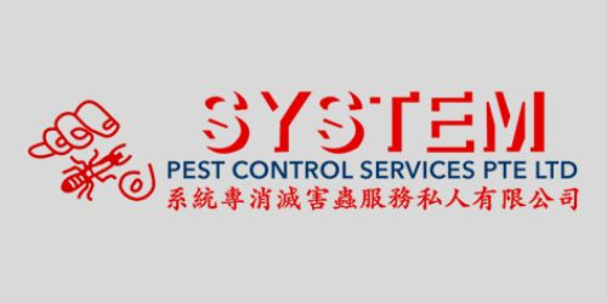 How To Get Rid Of Termite Effectively In Singapore? | SystemPest