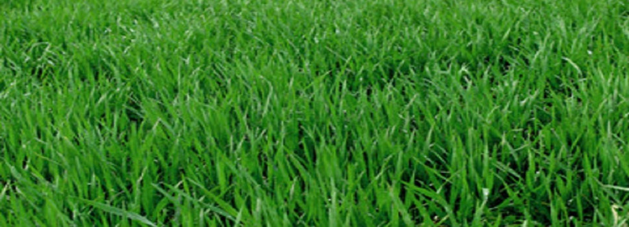 Lawn Doctor South Oklahoma City Cover Image