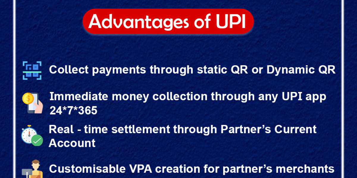 UPI for API Development Company