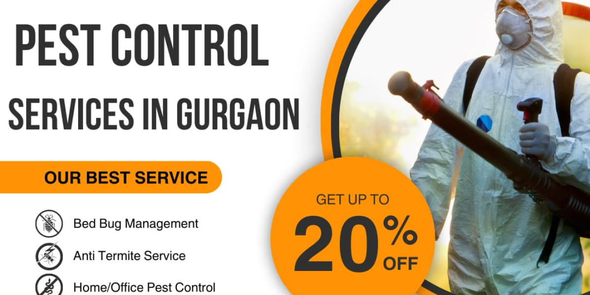Expert Pest Control in Gurgaon In Low Price - Keyvendors