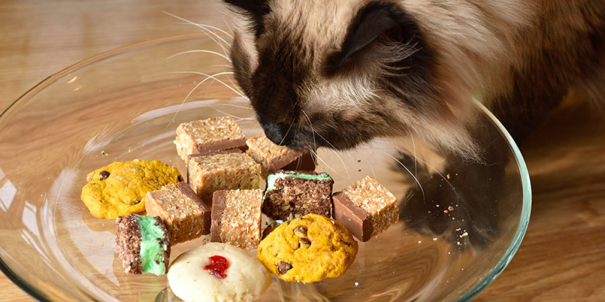 Dishing Out Harmony: Managing Food Aggression for a Happy Cat Household