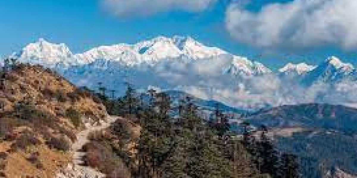 Exploring the Enchanting Beauty of Sandakphu Trek