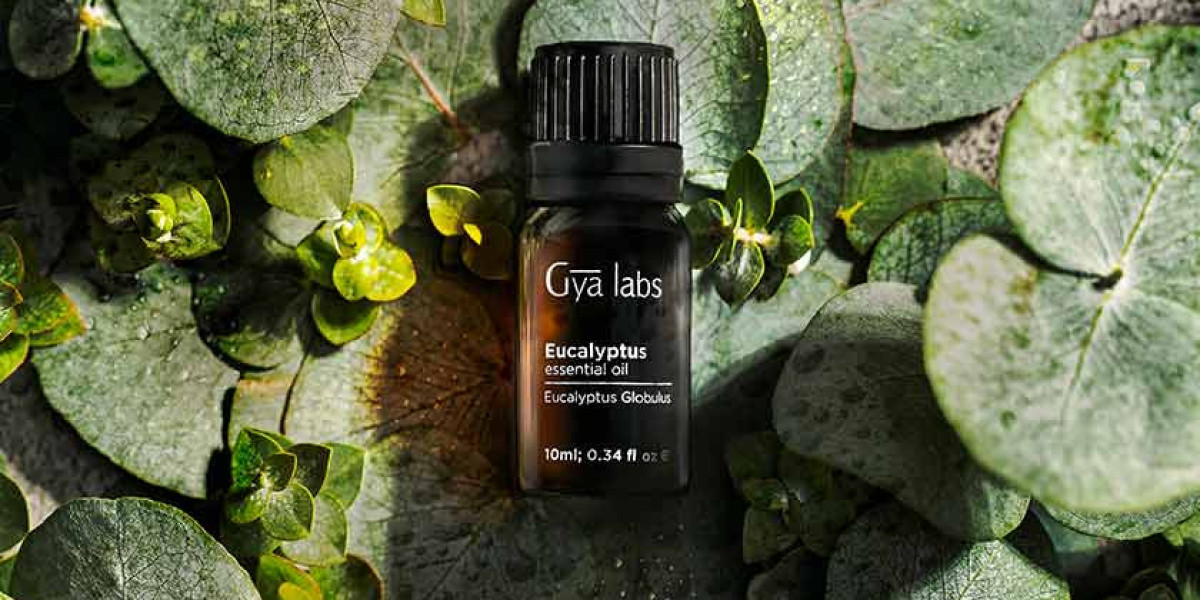 Unveiling the Refreshing Marvel: Eucalyptus Essential Oil