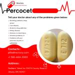 yellowpercocet 10_325Online Profile Picture