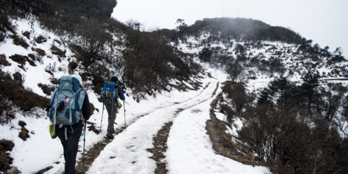 Exploring the Beauty of Sandakphu Trek: A Himalayan Adventure