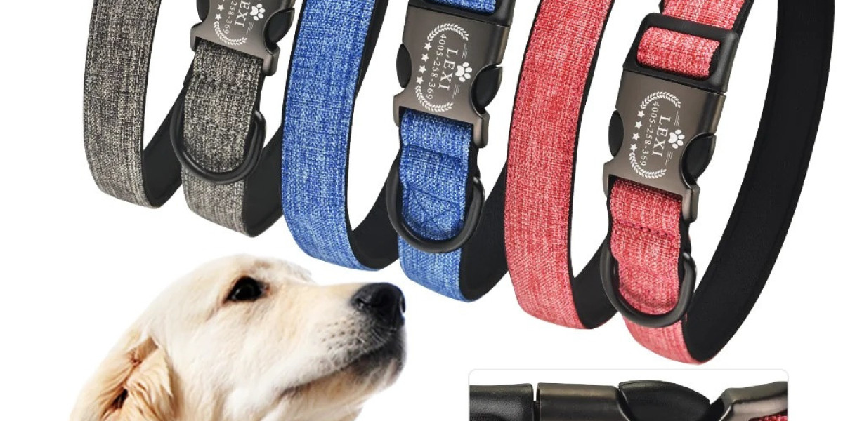 Accessorize in Style: Must-Have Dog Collars