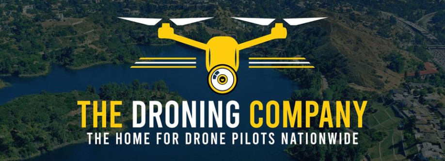The Droning Company Cover Image