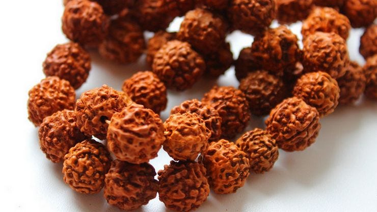 TThe Science behind Rudraksha Combinations And Their Abilities