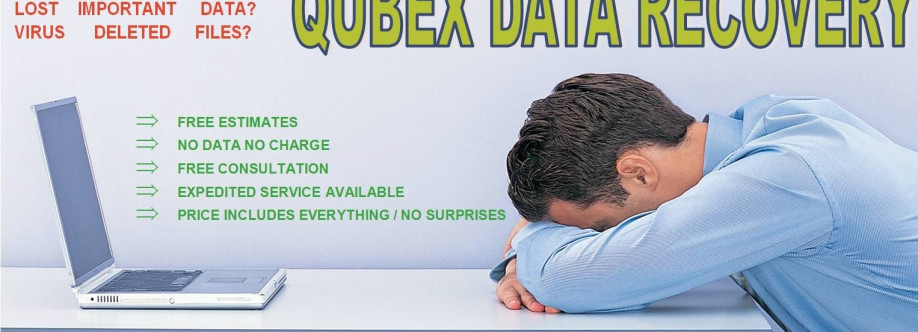 Qubex Data Recovery Cover Image