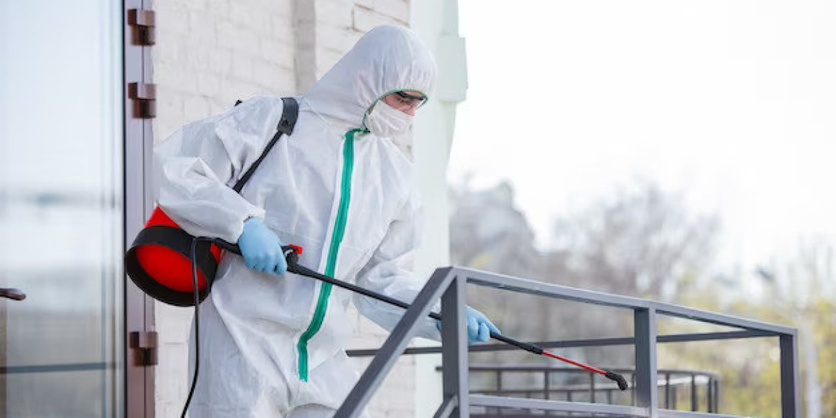 The Silent Threat: Why Pest Inspections Are a Necessity, Not an Option