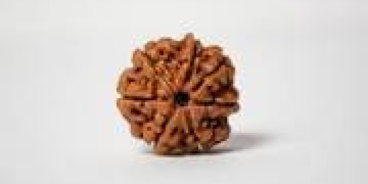 7 Mukhi Rudraksha