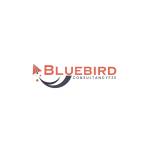 Bluebirdconsultancy Fze Profile Picture
